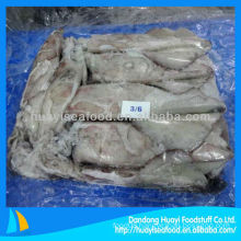 frozen squid seafood